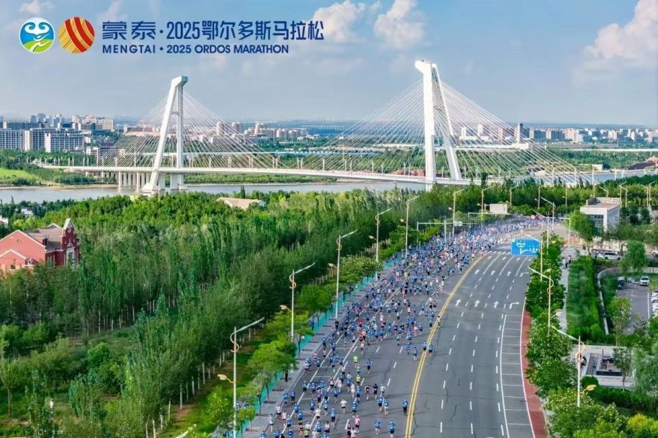 席张涛出席, MsH, 折海军