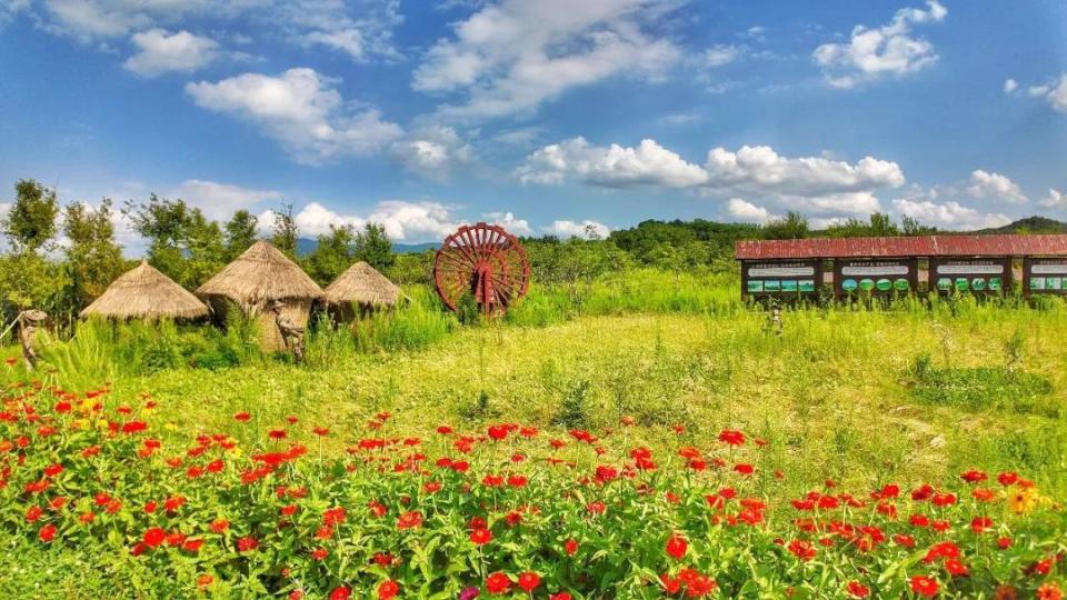 还有烀苞米, inews, 数为