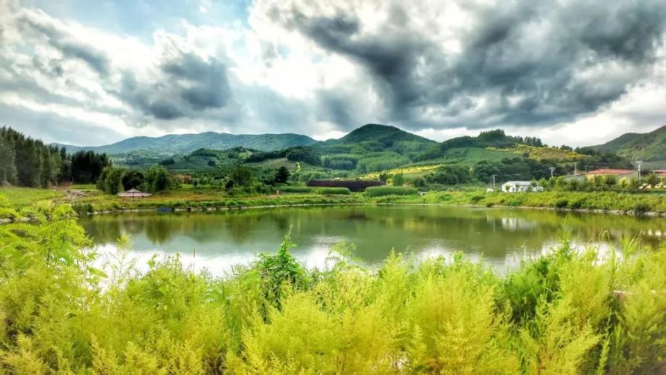 果园, 煎饼卷大葱