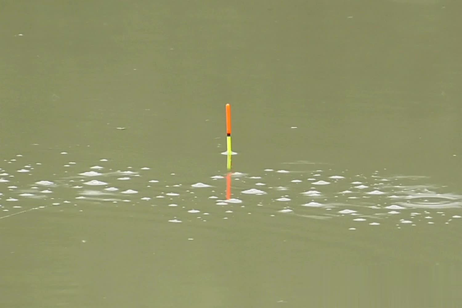 大量的回锅, yid, 行壮胆